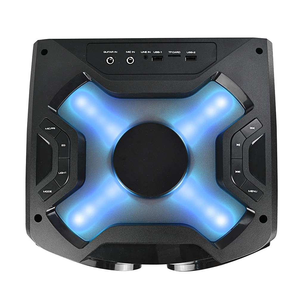 Temeisheng 8 Inch Party Box 100 Watt Professional Portable Wireless Audio Blueotth Speaker with Microphone