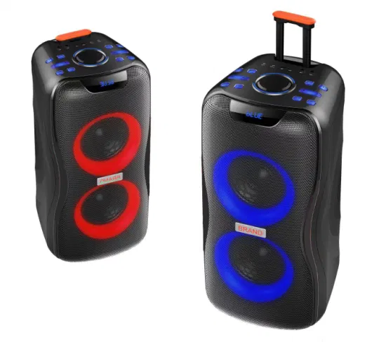 Temeisheng 2022 DJ Box Music MP3 Party Sound Box 100W Professional Portable Audio Wireless Bluetooth PRO Speakers Wtih Microphone