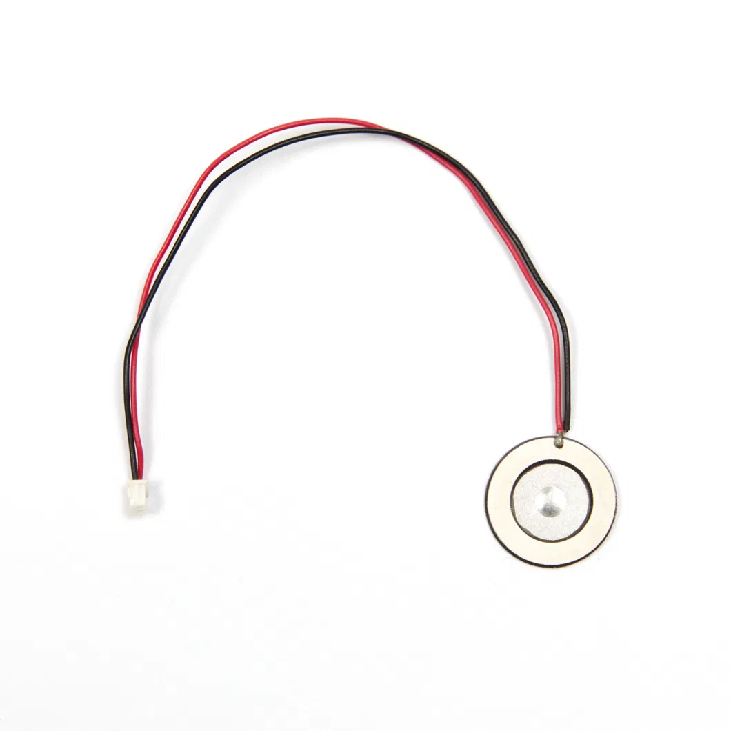 Piezo Ultrasonic Atomizer Transducer Whtf113-20.0d-2